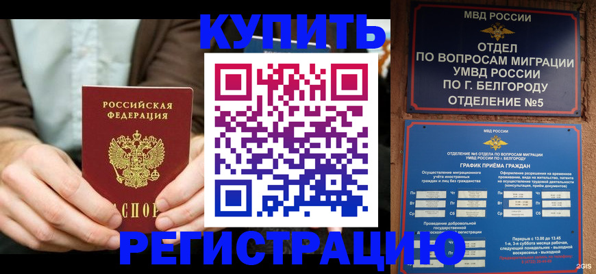 прописка 2025 в Льгове